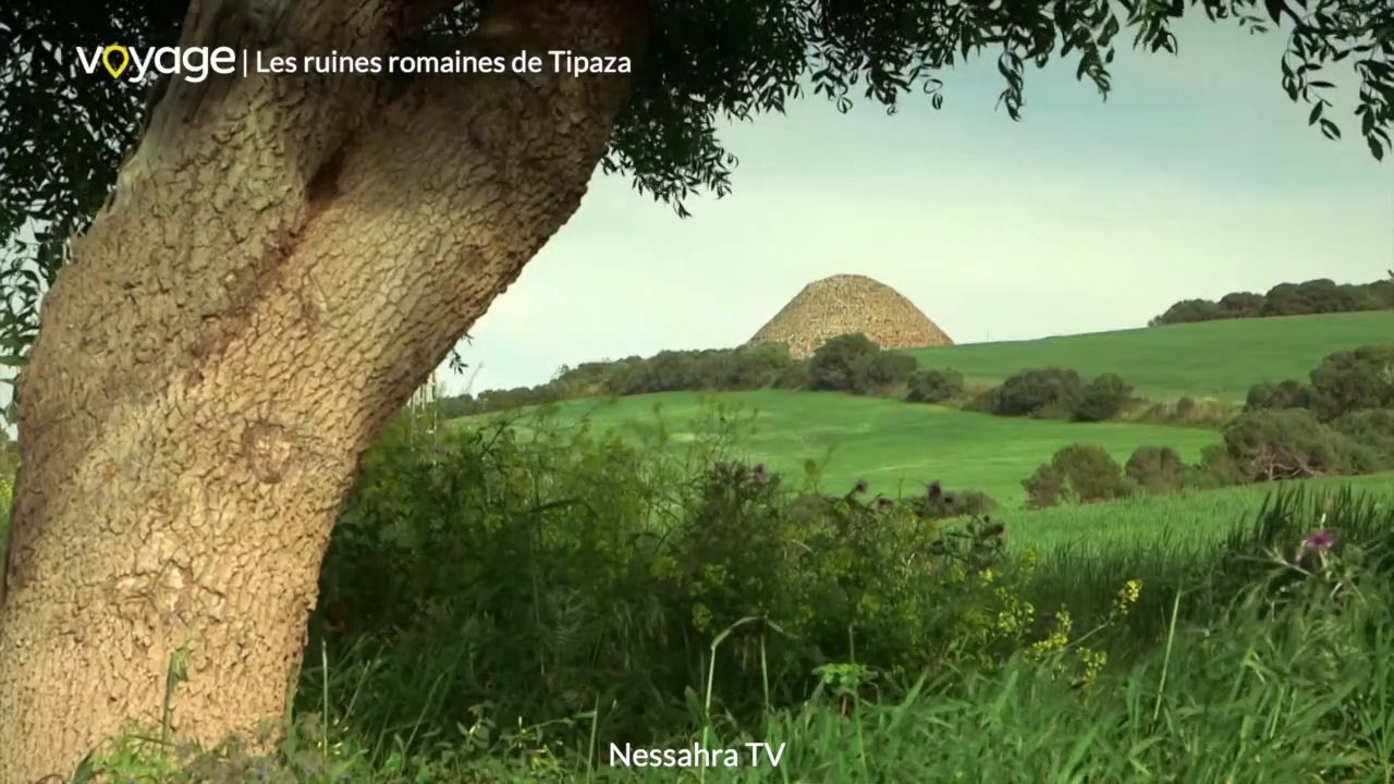 Algérie Secrète - Les ruines romaines de Tipaza