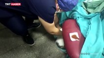 Hastaneye giren ayağı kırık kediye sağlık çalışanlarından yardım eli