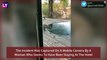 Video Of Leopard Drinking Water From Swimming Pool Goes Viral; Clip Neither From Taj, Ranthambore Or Lonavala But From South Africa; Know The Complete Truth