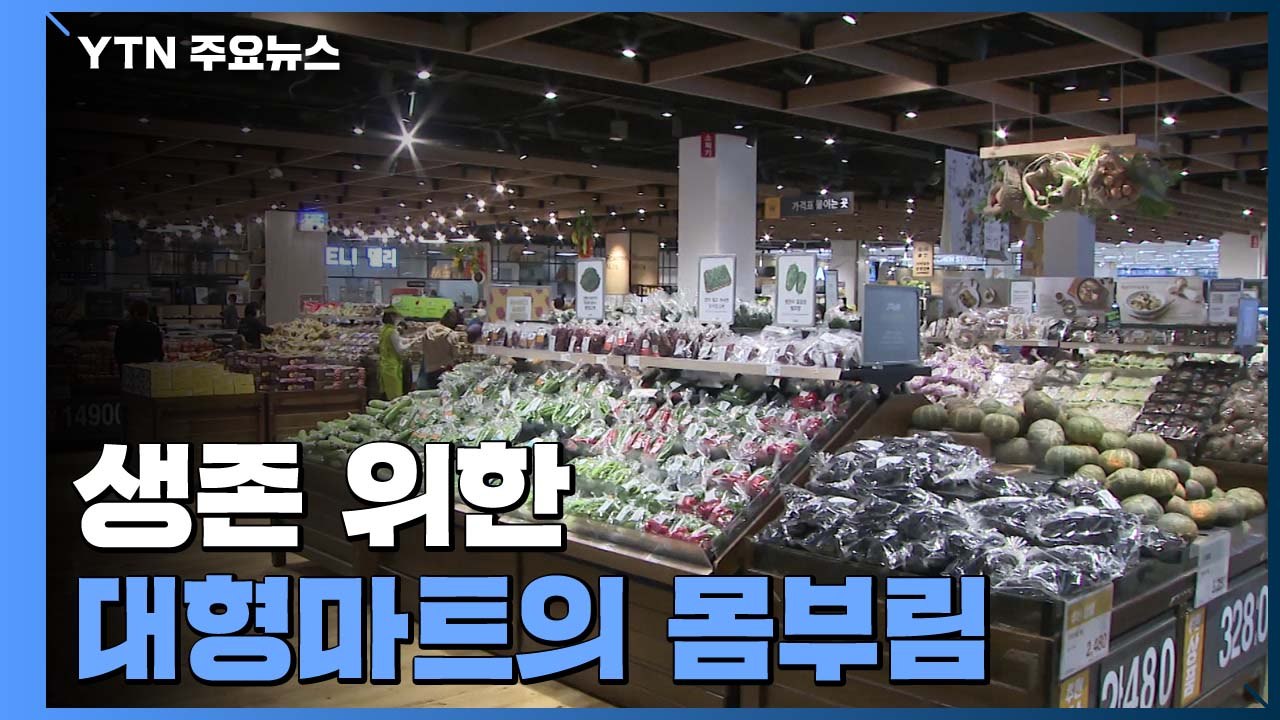 "이대론 안된다" ...생존 위한 대형마트의 몸부림 / YTN