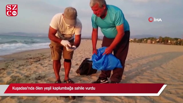 Kuşadası'nda ölen yeşil kaplumbağa sahile vurdu