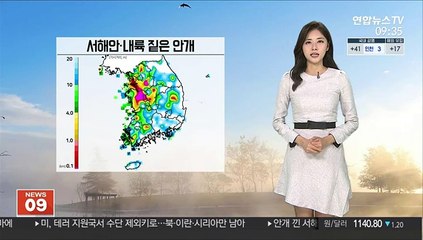 [날씨] 미세먼지·안개로 뿌연 하늘…중서부 탁한 공기