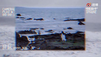 苏西的世界 The Lovely Bones's MV behind-the-scenes [ENG SUB]