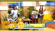 Unang Hirit: UH Plantitas: Mga paandar at plant containers para sa mga alagang tanim!