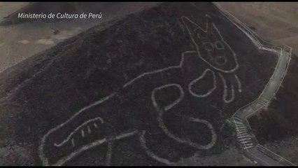 Descubren geoglifo de un gato gigante en las Líneas de Nasca en Perú