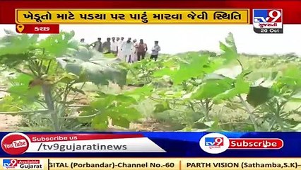 Kutch- Farmers in Loriya incur crop loss due to unseasonal rain in the region