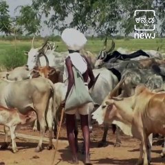 103-Year-Old Sadhu Had Never Cut His Hair