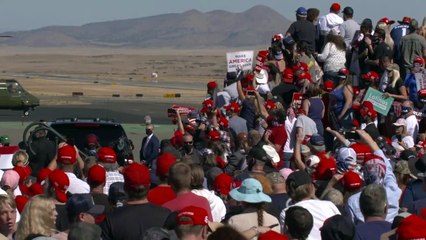 "Superman" Trump lästert über Virologen Fauci und nennt CNN-Mitarbeiter "Bastarde"