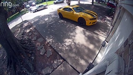 Dog Chases Man Into Oncoming Car