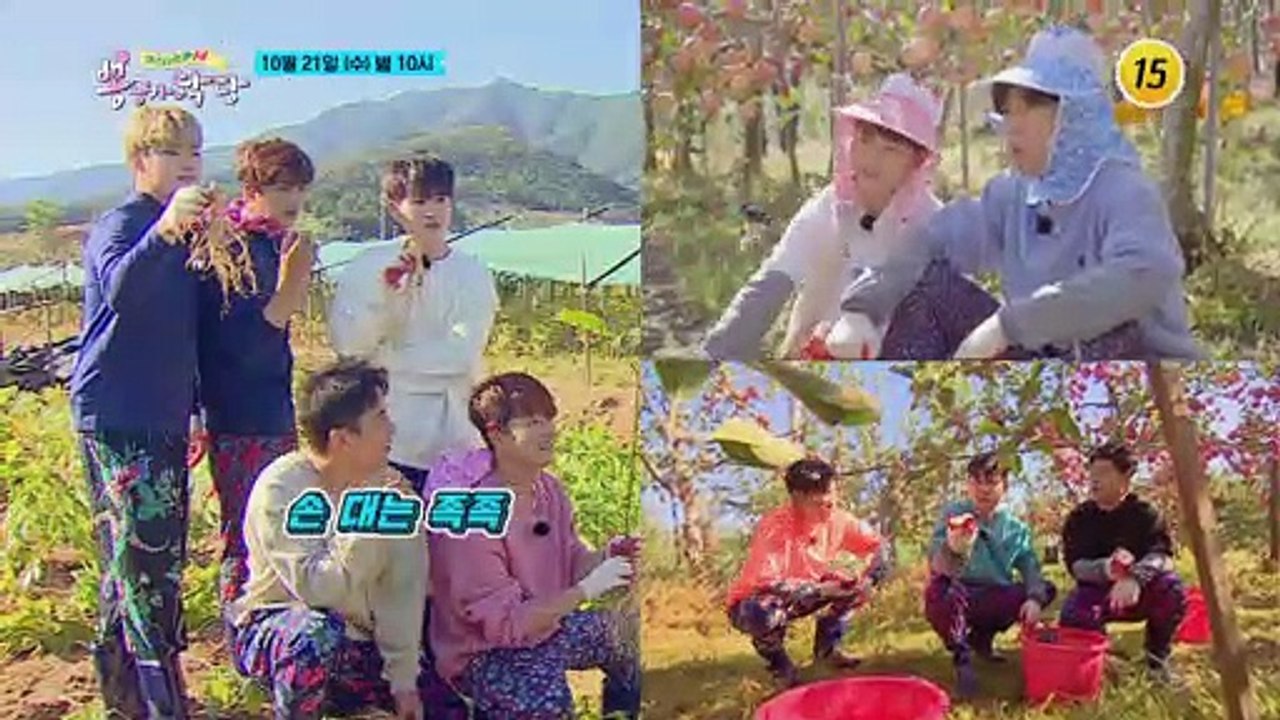 인삼의 고향 풍기에 왔어요! 예능 품앗이 트롯 일꾼 총출동_뽕숭아학당 24회 예고