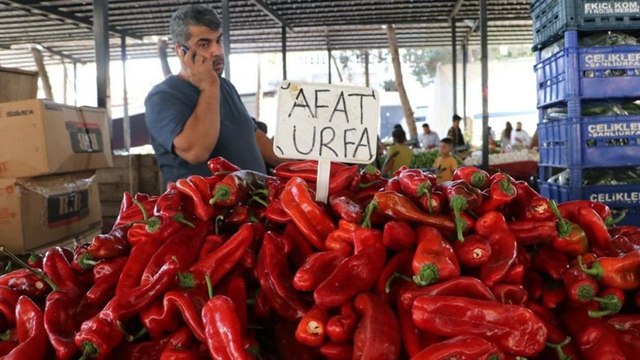 Urfa İl Sağlık Müdürü: Acı biber coronaya iyi gelmez