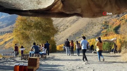 Nemrut ziyaretçilerini kardeş boz ayılar karşılıyor