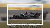 Formule 1- Hamilton remporte le Grand Prix d'Eifel et égale Michael Schumacher