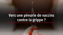 Vers une pénurie de vaccins contre la grippe ?