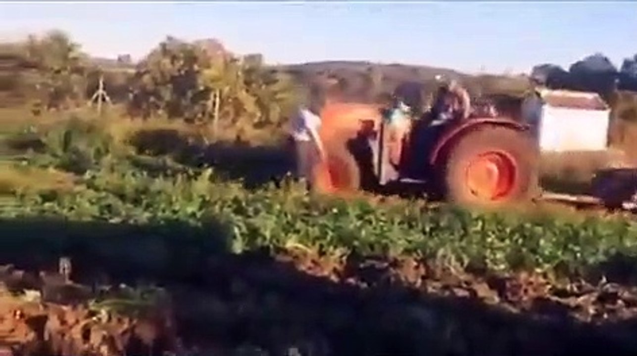 Viral: la discusión entre Andrés y Antonio por el arado