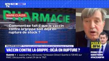 Comment se fait-il que le vaccin contre la grippe soit déjà en rupture de stock ? - BFMTV répond à vos questions