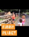 Videos virales graciosos de personas y animales - Funny Planet