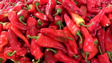 İsot coronaya karşı korur mu?