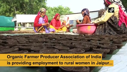 Cow dung lamps to soon hit market ahead of festive season