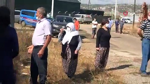 Kesilen zeytin ağaçları için birbirine giren akrabalara jandarma müdahale etti