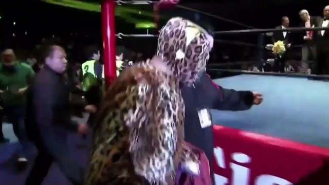 Mil Mascaras & Dos Caras in 2019 (1) ENTRANCES