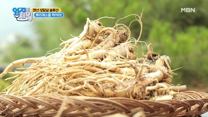 "기침"을 멈추고 싶다면? "뿌리채소"를 먹어라!