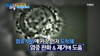 "암세포"까지 공격하는 "면역세포"가 있다?!