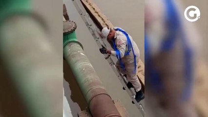 Cachorro é resgatado em Cachoeiro de Itapemirim