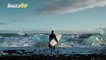 Surfers Dodge Icebergs to Ride The Waves In Freezing Iceland