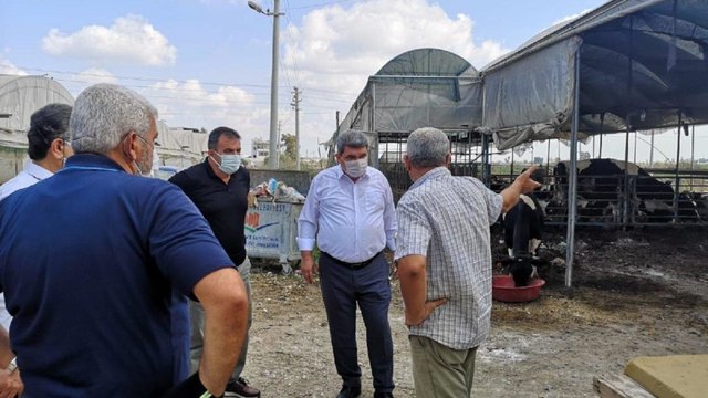 CHP’li Gökçel’den üç gün hastalığı uyarısı: Önlem alınmazsa tehlike çok büyük