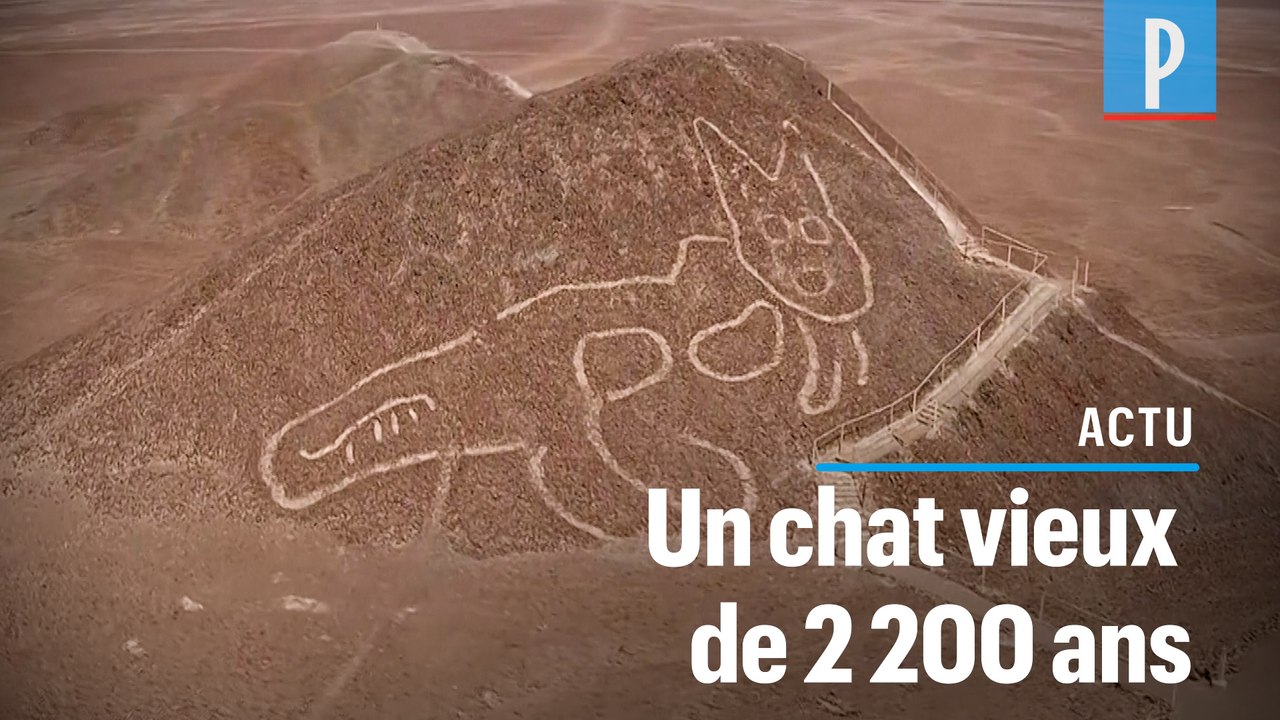 Pérou : un chat géant découvert sur les lignes de Nazca