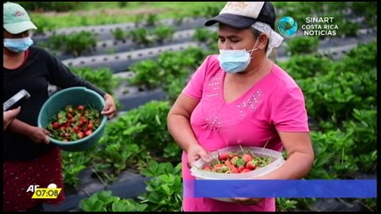Costa Rica Noticias - Resumen 24 horas de noticias 20 de octubre del 2020