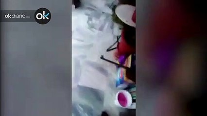 La Guardia Civil detiene a un varón- publicó en redes sociales como mataba a un gato desde su balcón