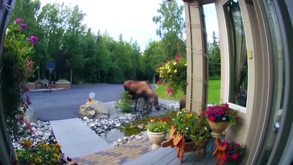 Top 20 Weird And Craziest Moments Caught On Doorbell Camera