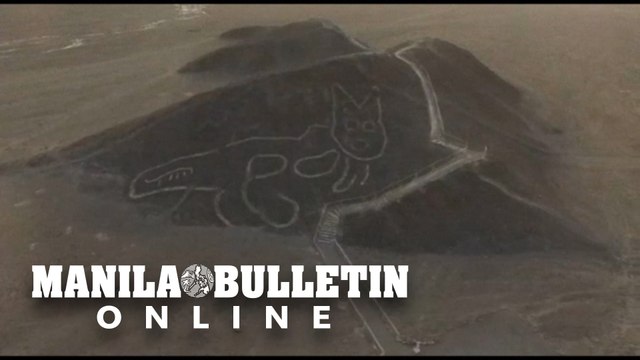 2,000-year-old Cat Silhouette Found In Peruvian Desert