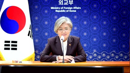 강경화 장관, 덴마크 등 3개국에 유명희 지지 요청 / YTN