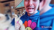 Al mejor estilo de Colores, J Balvin muestra el nuevo look de su perro Enzo
