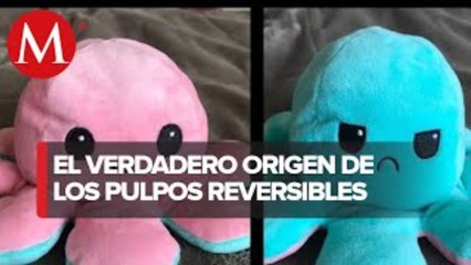 ¿Qué son y para qué sirven los pulpos reversibles?