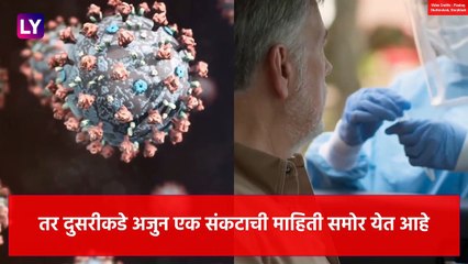 Coronavirus नंतर चीन मध्ये आढळला Swine Flu चा नवीन प्रकार; G4 असे या रोगाचे नाव, जाणून घ्या अधिक