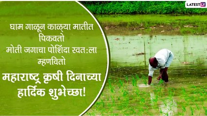 Maharashtra Krishi Din 2020: महाराष्ट्र कृषी दिन निमित्त Wishes, Messages, Whatsapp Status