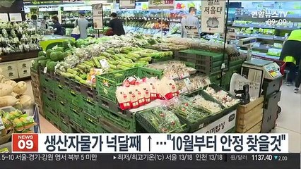 생산자물가 넉달째 ↑…"10월부턴 안정 찾을것"