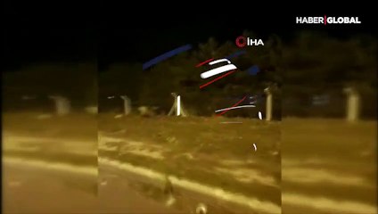 Şehre inen boz ayı böyle görüntülendi