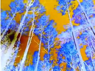 Baby Van Gogh in G Major [Part 1]