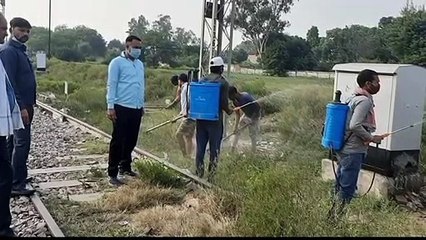 नगर पालिका परिषद के वार्ड नंबर 24 अनवरगंज में अधिकारियों के आदेश पर चलाए गया सफाई अभियान