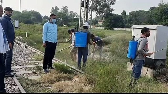 नगर पालिका परिषद के वार्ड नंबर 24 अनवरगंज में अधिकारियों के आदेश पर चलाए गया सफाई अभियान