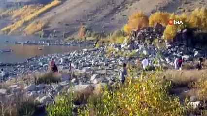 Nemrut ziyaretçilerine kardeş boz ayılardan karşılama