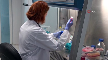 'Kök hücre ile kısırlığa çare'