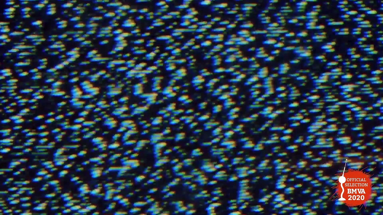 BMVA 2020 NOMINEES #4