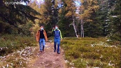Mont-Blanc : comment le réchauffement climatique affecte la biodiversié et l’agriculture