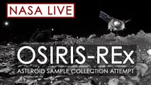 Celebrations as Osiris-Rex spacecraft touches down on asteroid Bennu